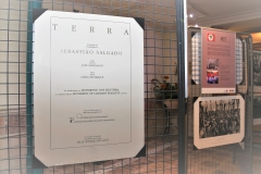 expo gelsa 1